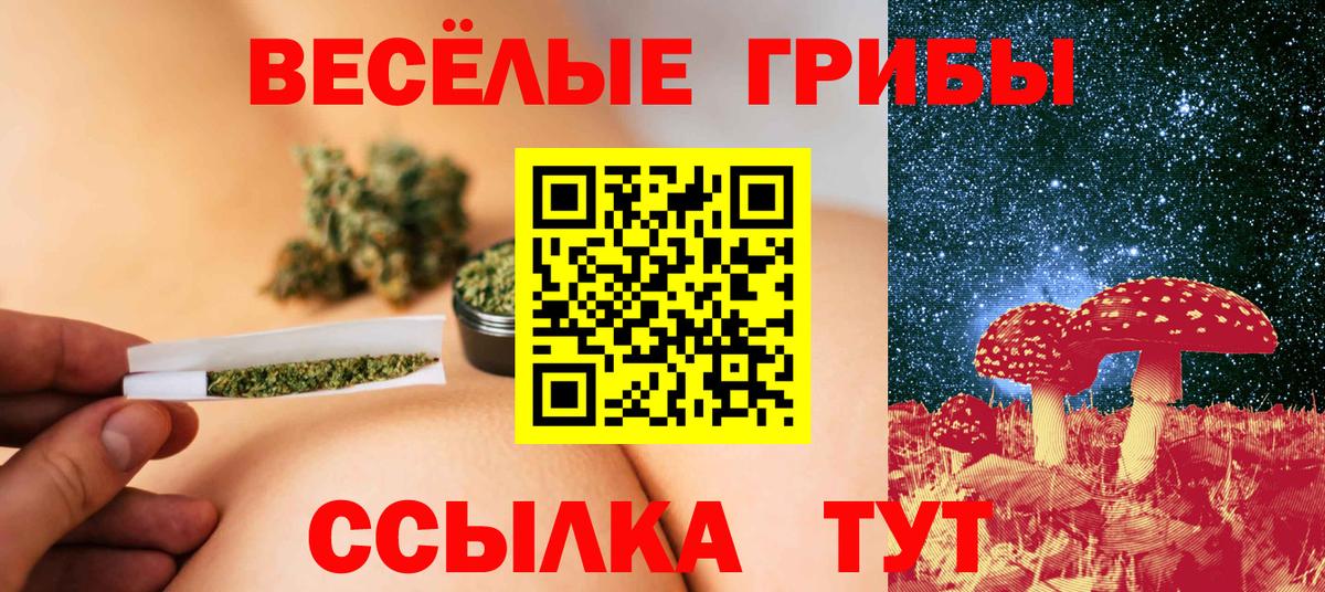 Галлюциногенные грибы Cubensis  Галлюциногенные грибы GOLDEN TEACHER  Арзамас  Вход с VPN 