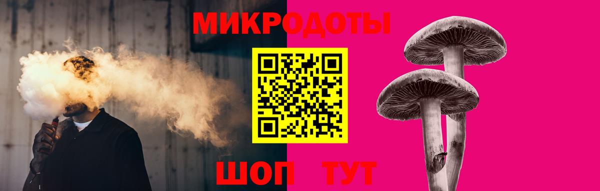 Галлюциногенные грибы Psilocybine cubensis Арзамас